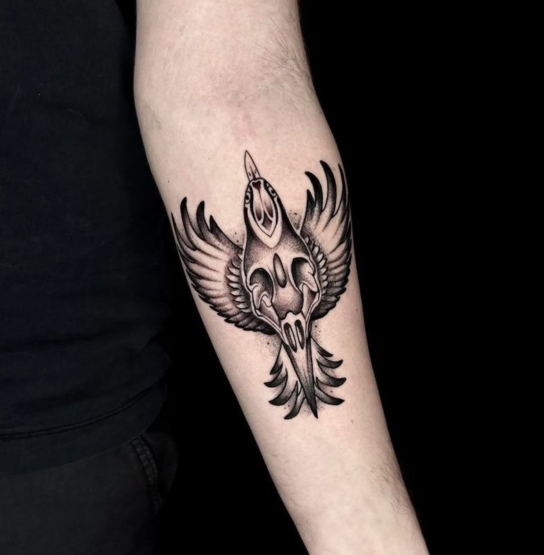 Bird Skull